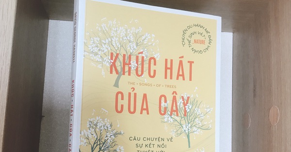 khuc hat cua cay 16254515837911066735676 crop 16254516867071556727639